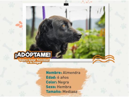 Almendra