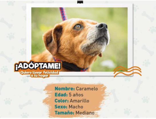 Caramelo