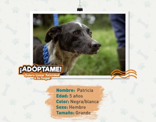 Patricia